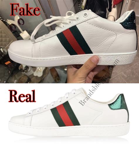 sneaker gucci false